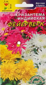 Хризантема Фейерверк