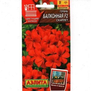 Герань Балконная Фламинго F2