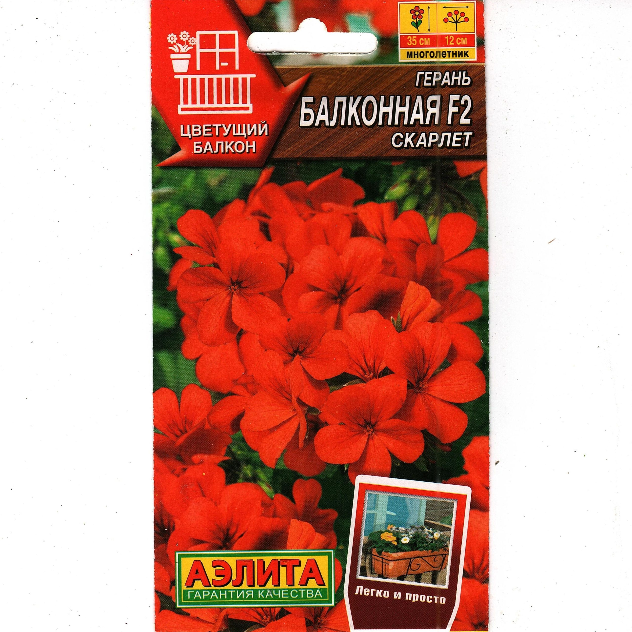 Герань Балконная Фламинго F2