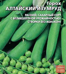 Горох Алтайский изумруд