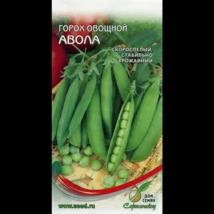 Горох Авола
