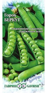 Горох Беркут