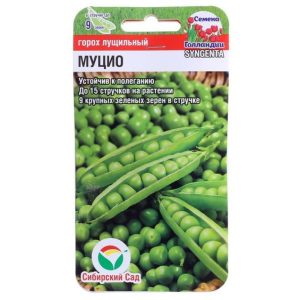 Горох Муцио