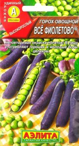 Горох Все фиолетово