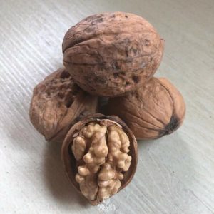 Грецкий орех Тонкокорый