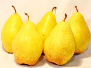 Груша Бере золотая