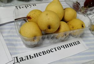 Груша Дальневосточница