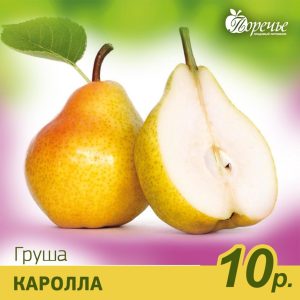 Груша Королла