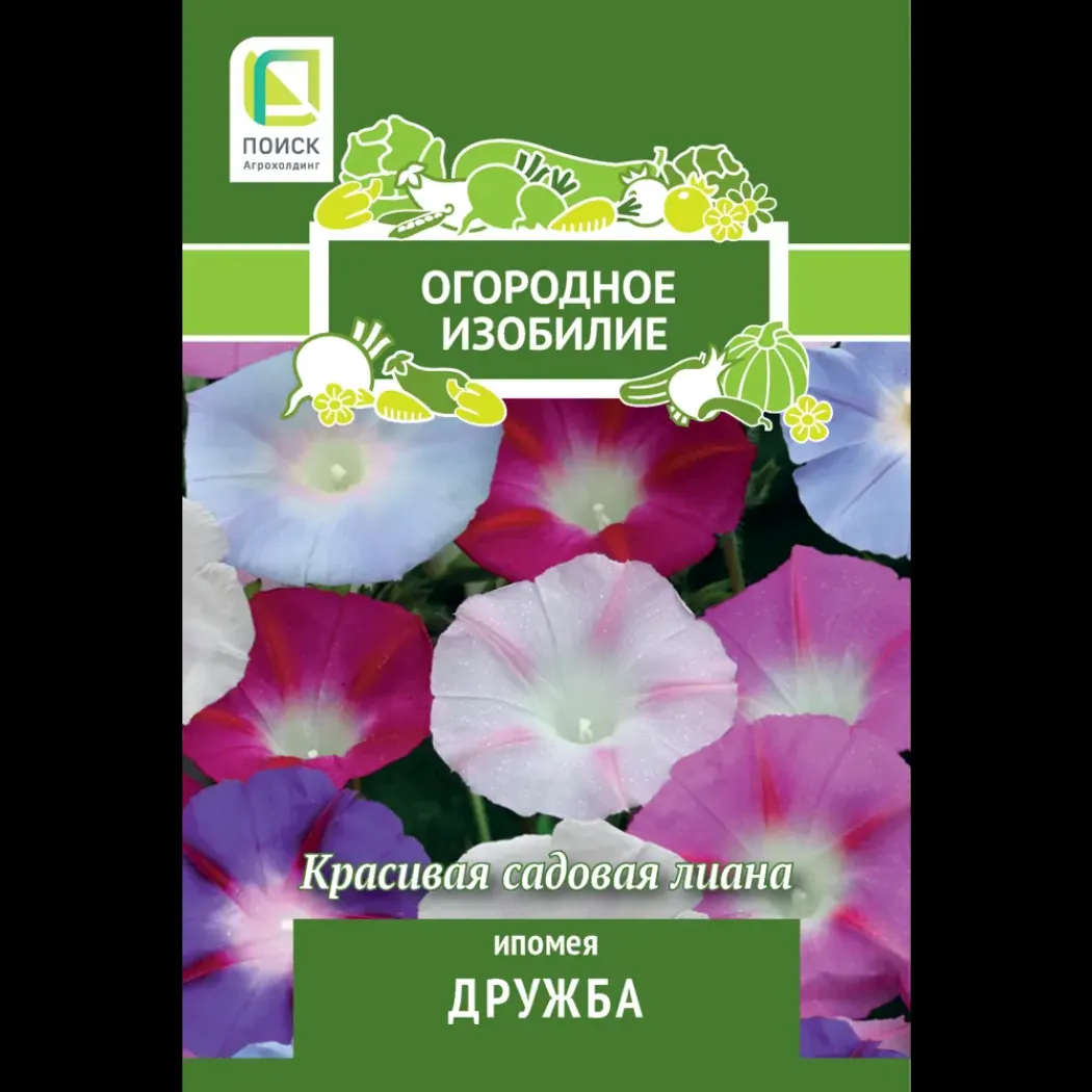 Ипомея Дружба