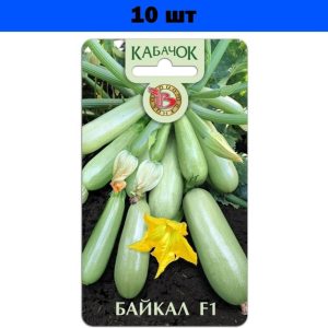 Кабачок Байкал