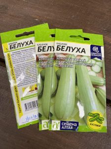 Кабачок Белуха