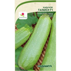Кабачок Галакси
