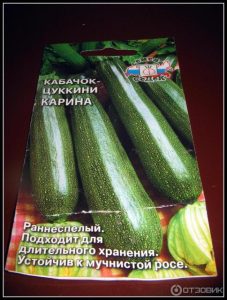 Кабачок Карина