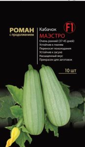 Кабачок Маэстро