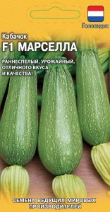 Кабачок Марселла