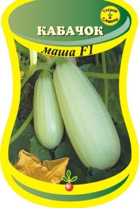 Кабачок Маша