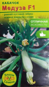 Кабачок Медуза