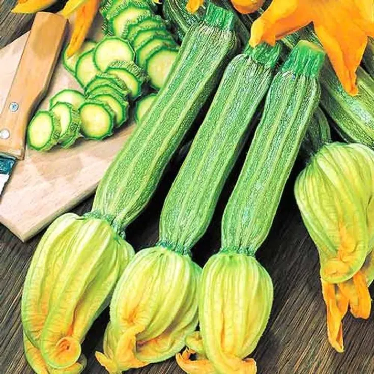 Кабачок Романеско