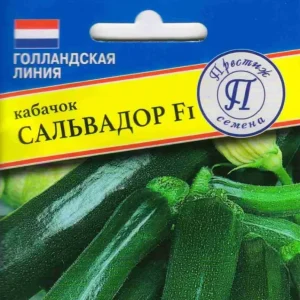 Кабачок Сальвадор