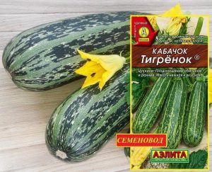 Кабачок Тигренок
