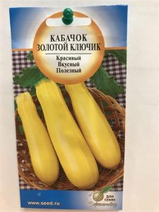 Кабачок Золотой ключик