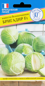 Капуста Бригадир