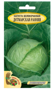 Капуста Дитмарская ранняя