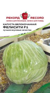 Капуста Фелисити