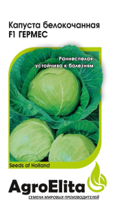 Капуста Гермес