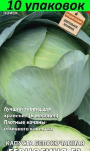 Капуста Герцогиня