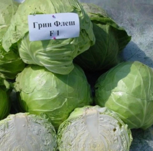Капуста Грин Флэш