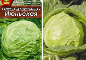Капуста Июньская
