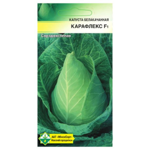 Капуста Карафлекс