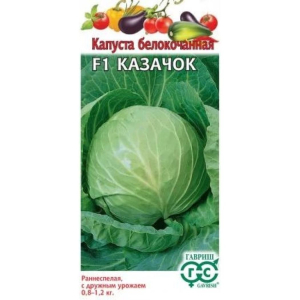 Капуста Казачок