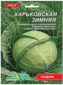 Капуста Харьковская зимняя