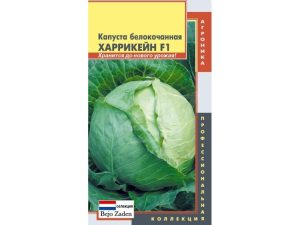Капуста Харрикейн