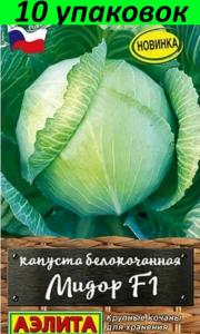 Капуста Мидор