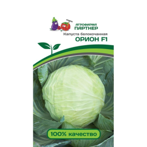 Капуста Орион