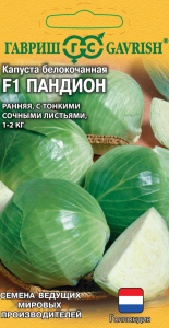Капуста Пандион