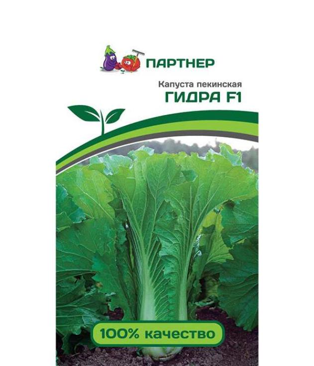 Капуста пекинская Гидра