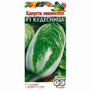 Капуста пекинская Кудесница