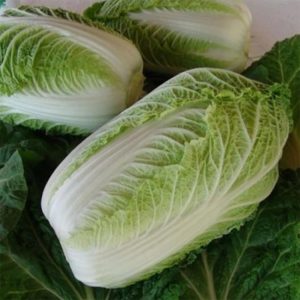Капуста пекинская Медалист