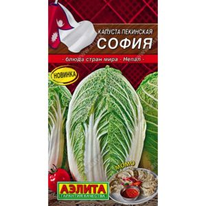 Капуста пекинская София