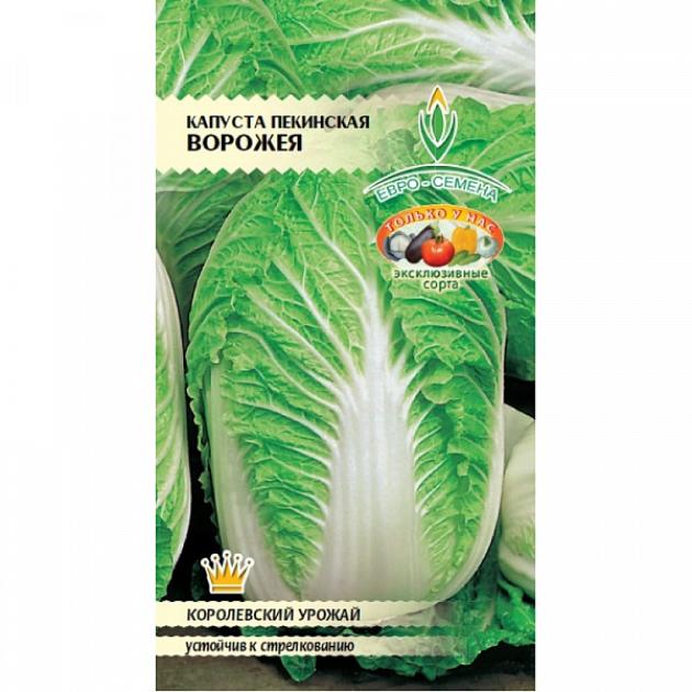 Капуста пекинская Ворожея
