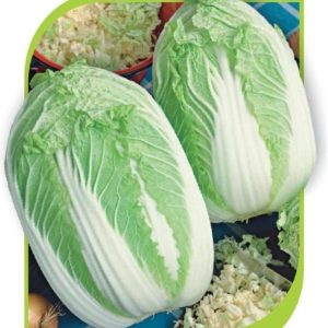 Капуста пекинская Юки
