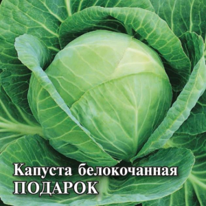 Капуста Подарок