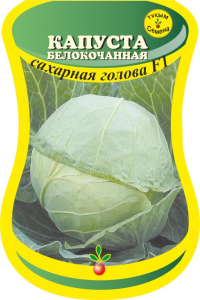 Капуста Сахарная голова