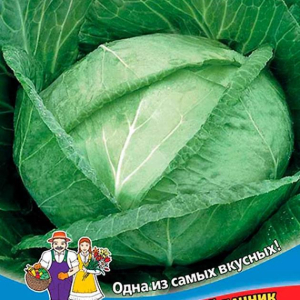 Капуста Сахарный гигант