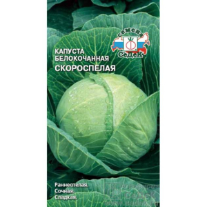 Капуста Скороспелка