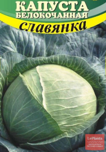 Капуста Славянка